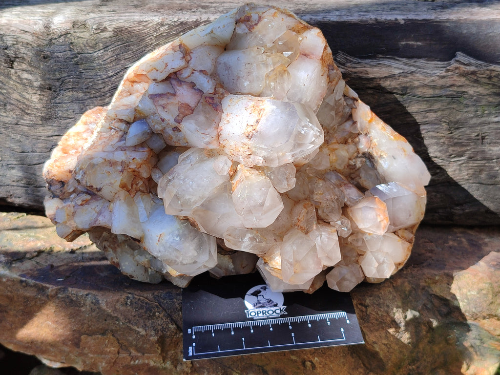 Polished On One Side Red Hematoid Quartz Clusters x 1 From Karoi, Zimbabwe - Toprock Gemstones and Minerals 