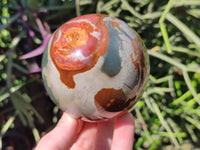 Polished Polychrome Jasper Spheres x 2 From Northwest Coast, Madagascar