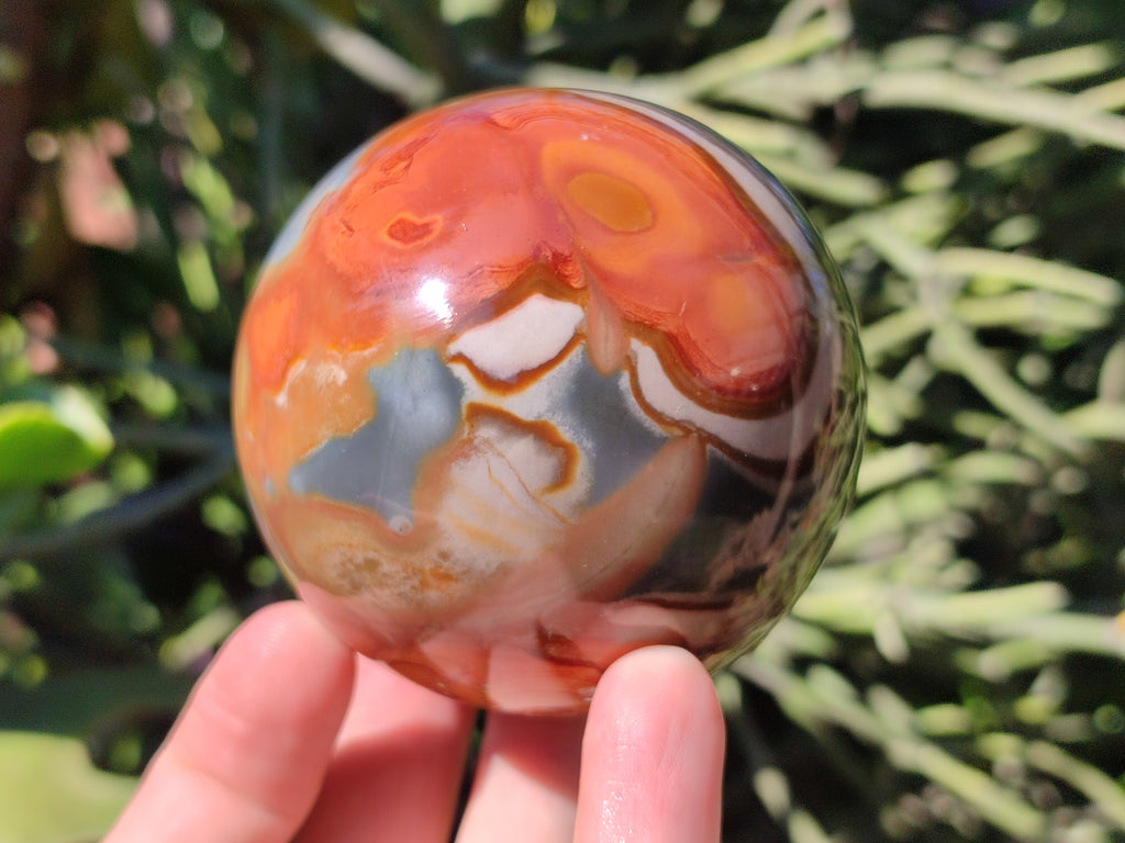 Polished Polychrome Jasper Spheres x 2 From Northwest Coast, Madagascar - Toprock Gemstones and Minerals 