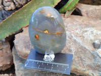Polished Dendritic Agate Standing Free Forms x 5 From Madagascar