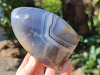 Polished Dendritic Agate Standing Free Forms x 5 From Madagascar