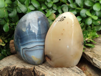 Polished Dendritic Agate Standing Free Forms x 5 From Madagascar