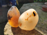 Polished Dendritic Agate Standing Free Forms x 5 From Madagascar