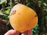 Polished Dendritic Agate Standing Free Forms x 5 From Madagascar