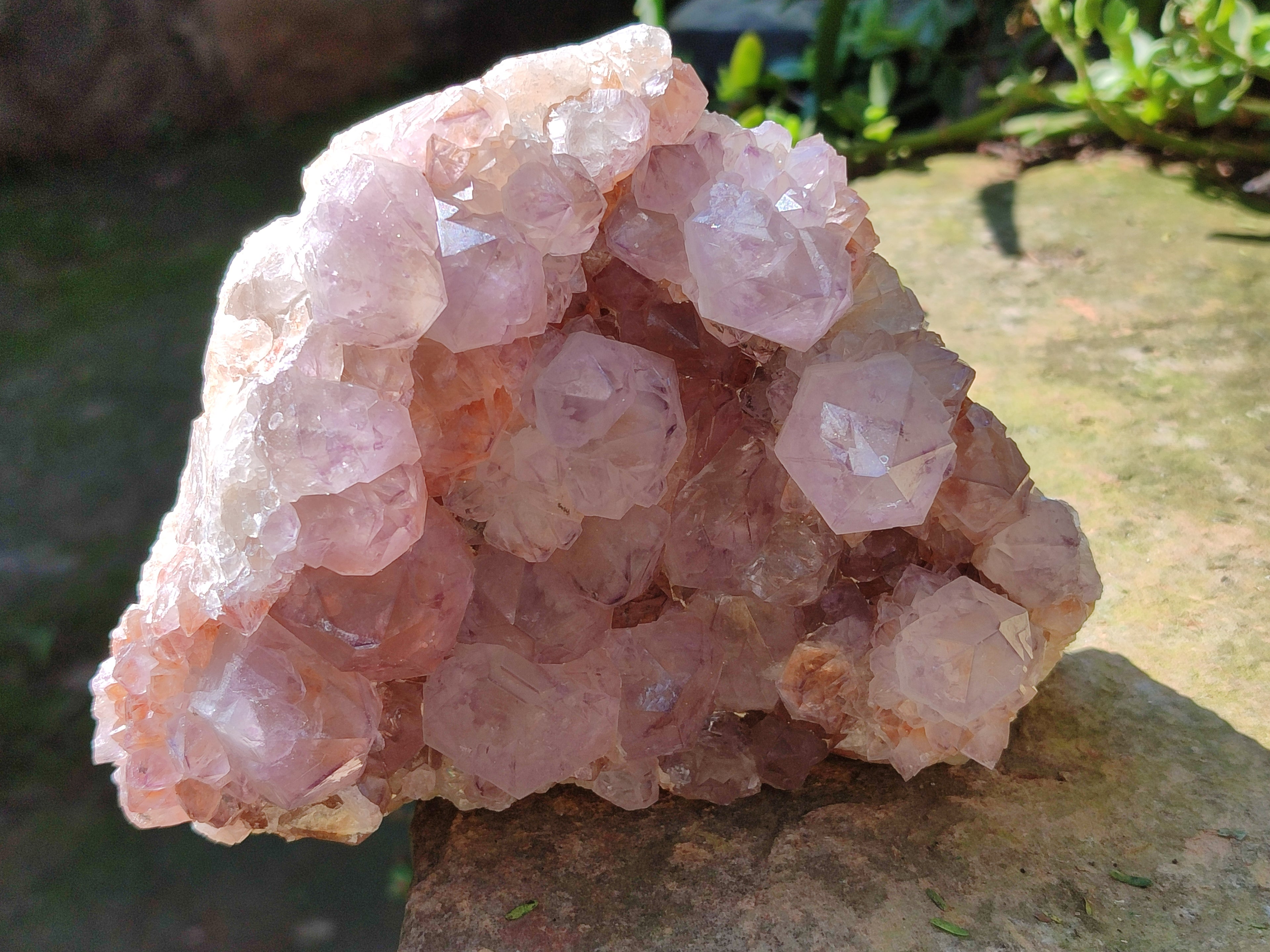 Natural Dark Purple Cactus Spirit Quartz Clusters x 3 From South Africa - Toprock Gemstones and Minerals 