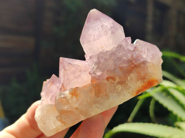 Natural Dark Purple Cactus Spirit Quartz Clusters x 3 From South Africa