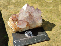 Natural Dark Purple Cactus Spirit Quartz Clusters x 3 From South Africa