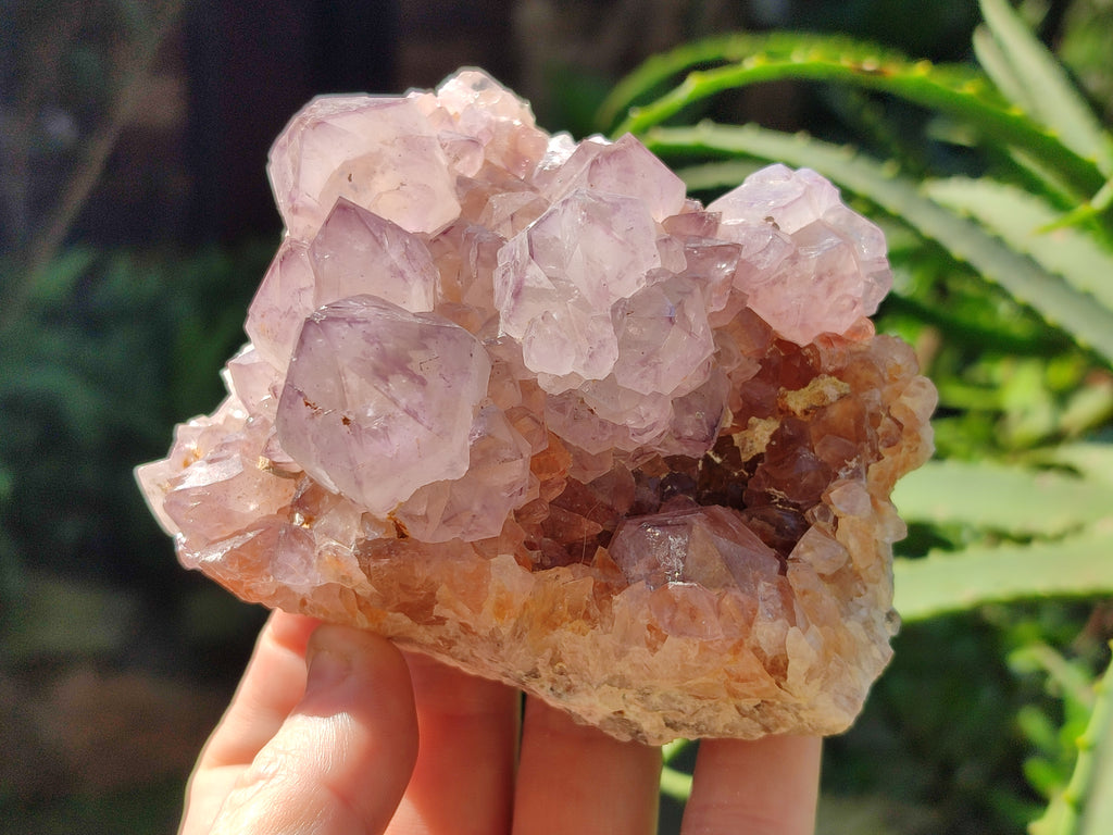Natural Dark Purple Cactus Spirit Quartz Clusters x 3 From South Africa - Toprock Gemstones and Minerals 