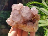 Natural Dark Purple Cactus Spirit Quartz Clusters x 3 From South Africa