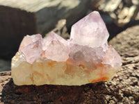 Natural Dark Purple Cactus Spirit Quartz Clusters x 3 From South Africa