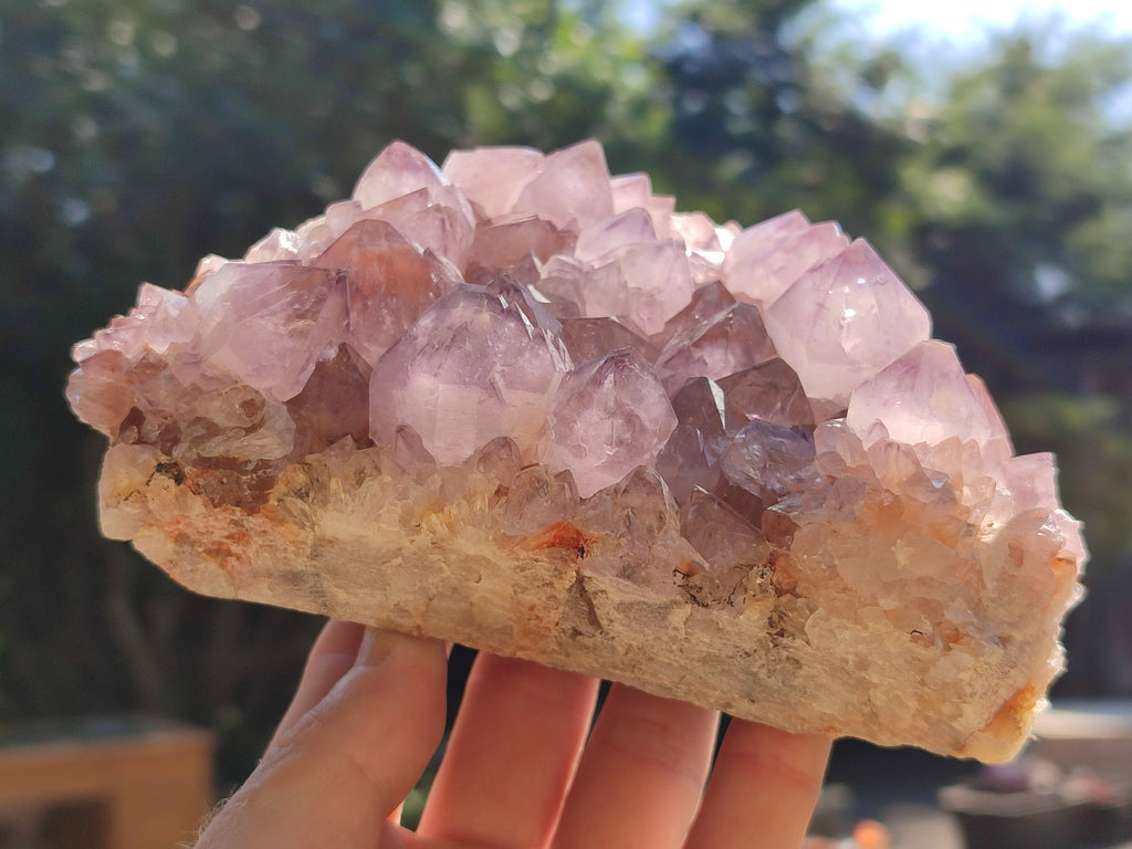 Natural Dark Purple Cactus Spirit Quartz Clusters x 3 From South Africa - Toprock Gemstones and Minerals 