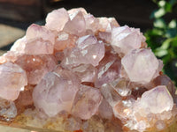 Natural Dark Purple Cactus Spirit Quartz Clusters x 3 From South Africa