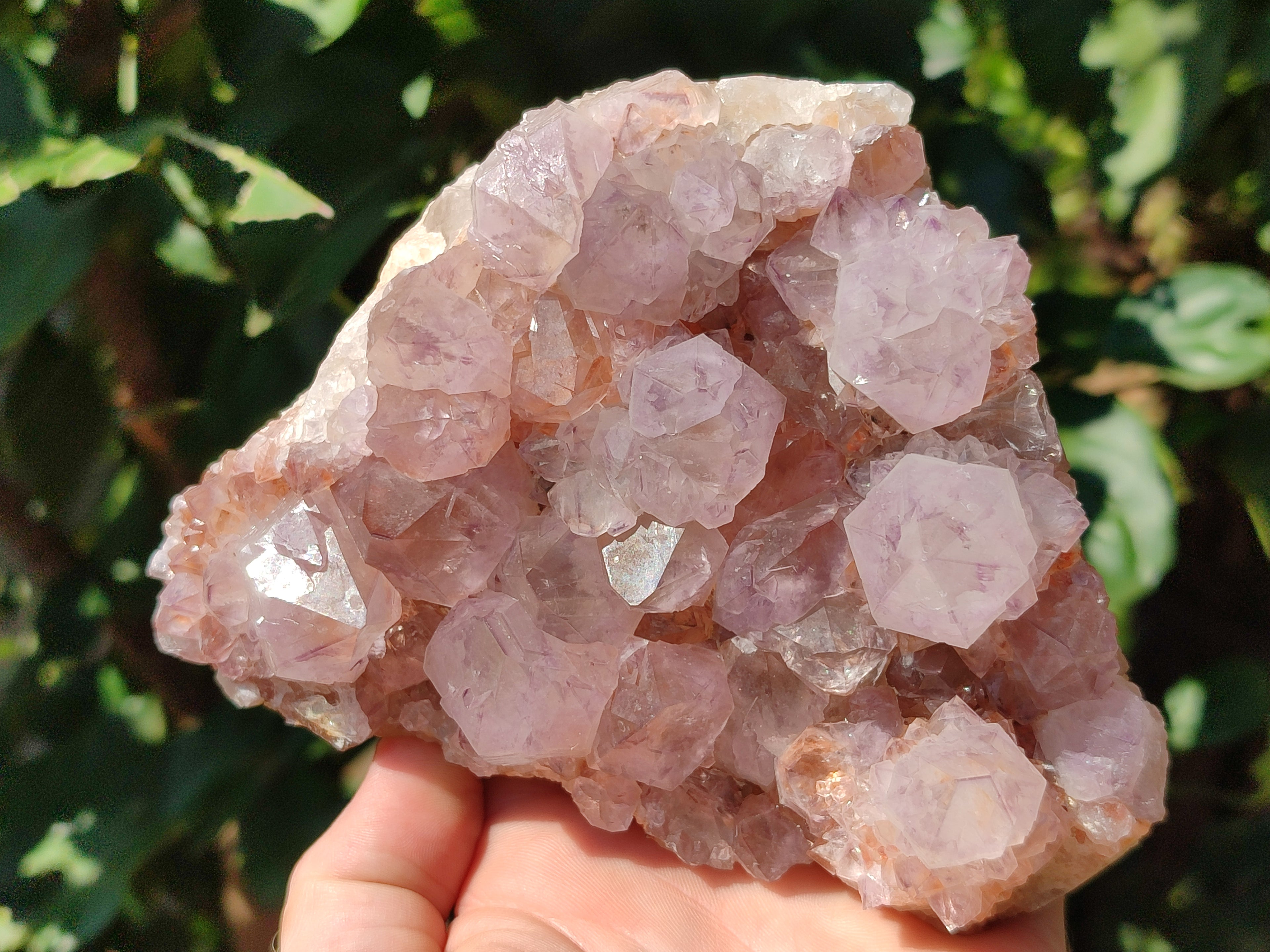 Natural Dark Purple Cactus Spirit Quartz Clusters x 3 From South Africa - Toprock Gemstones and Minerals 