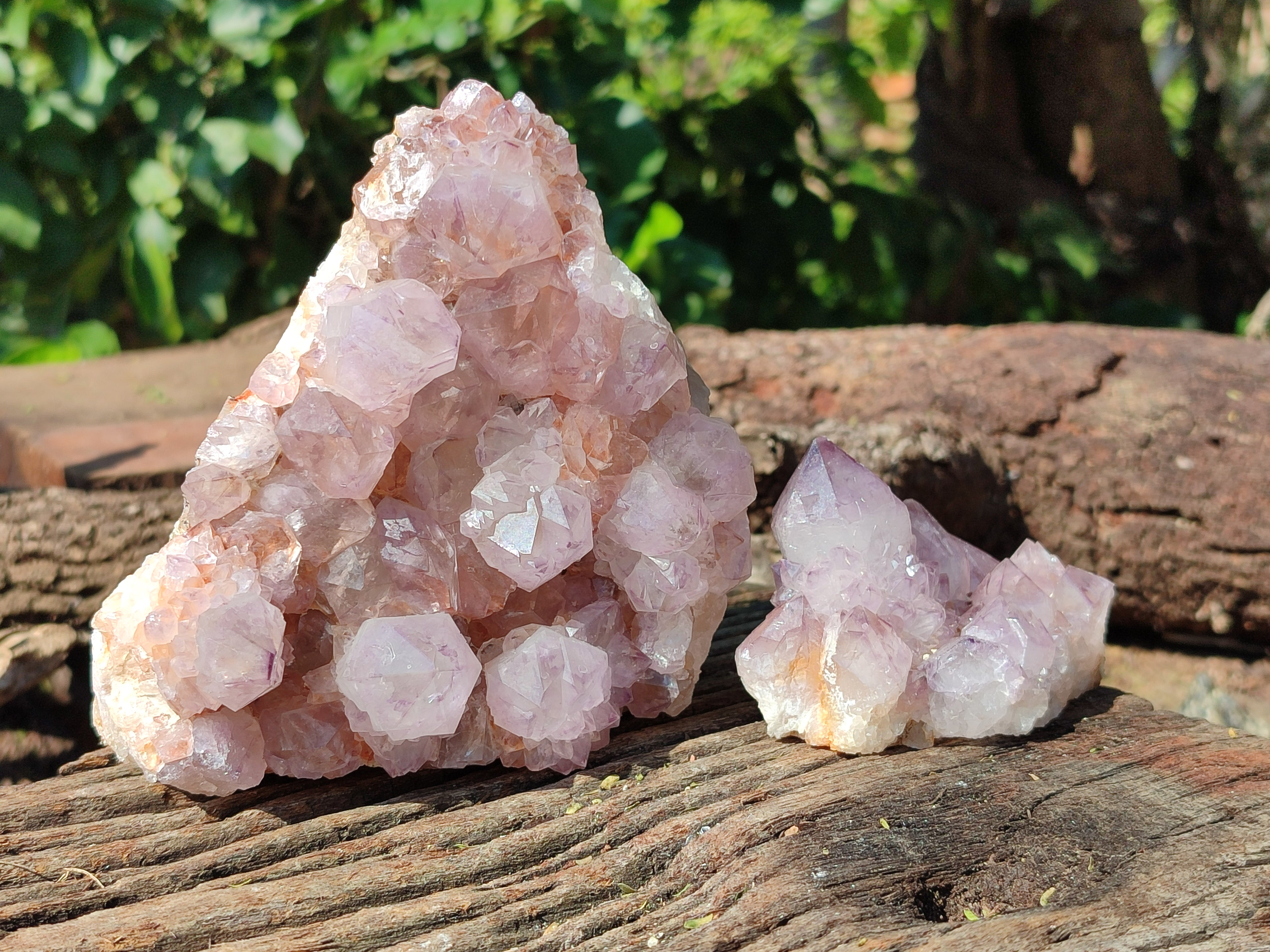 Natural Dark Purple Cactus Spirit Quartz Clusters x 3 From South Africa - Toprock Gemstones and Minerals 