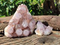 Natural Dark Purple Cactus Spirit Quartz Clusters x 3 From South Africa