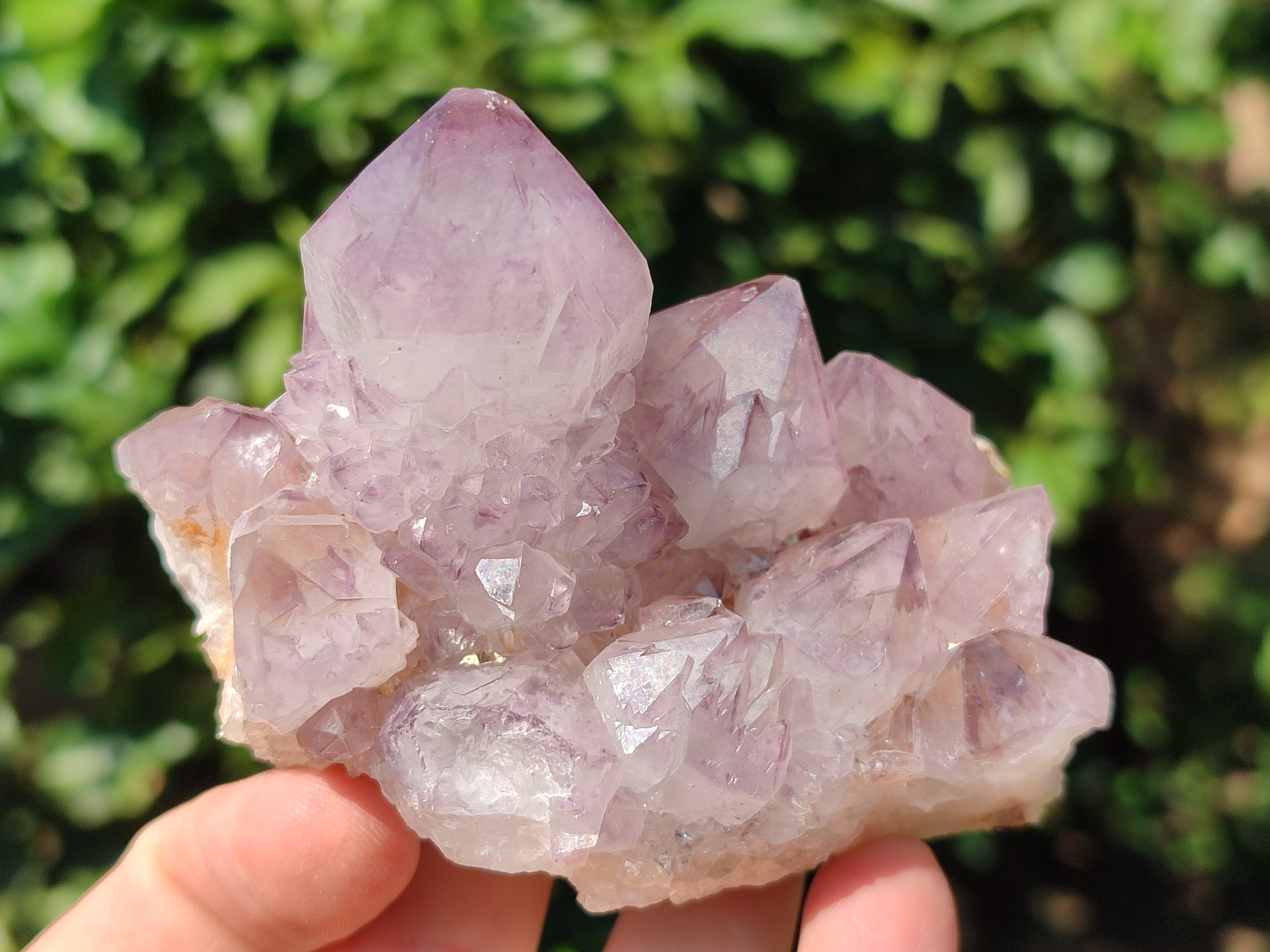 Natural Dark Purple Cactus Spirit Quartz Clusters x 3 From South Africa - Toprock Gemstones and Minerals 