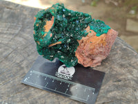Natural Rare Dioptase Specimens x 2 From Likasi, Congo