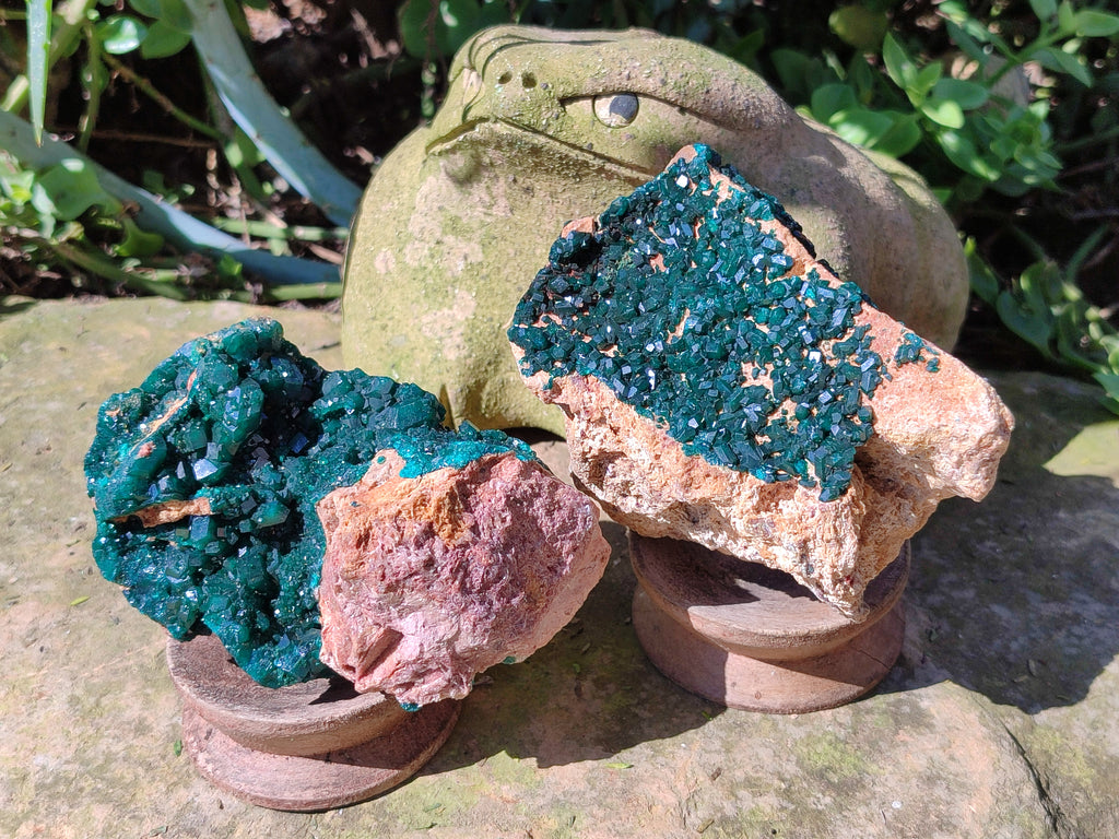 Natural Rare Dioptase Specimens x 2 From Likasi, Congo - Toprock Gemstones and Minerals 