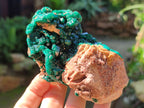Natural Rare Dioptase Specimens x 2 From Likasi, Congo - Toprock Gemstones and Minerals 