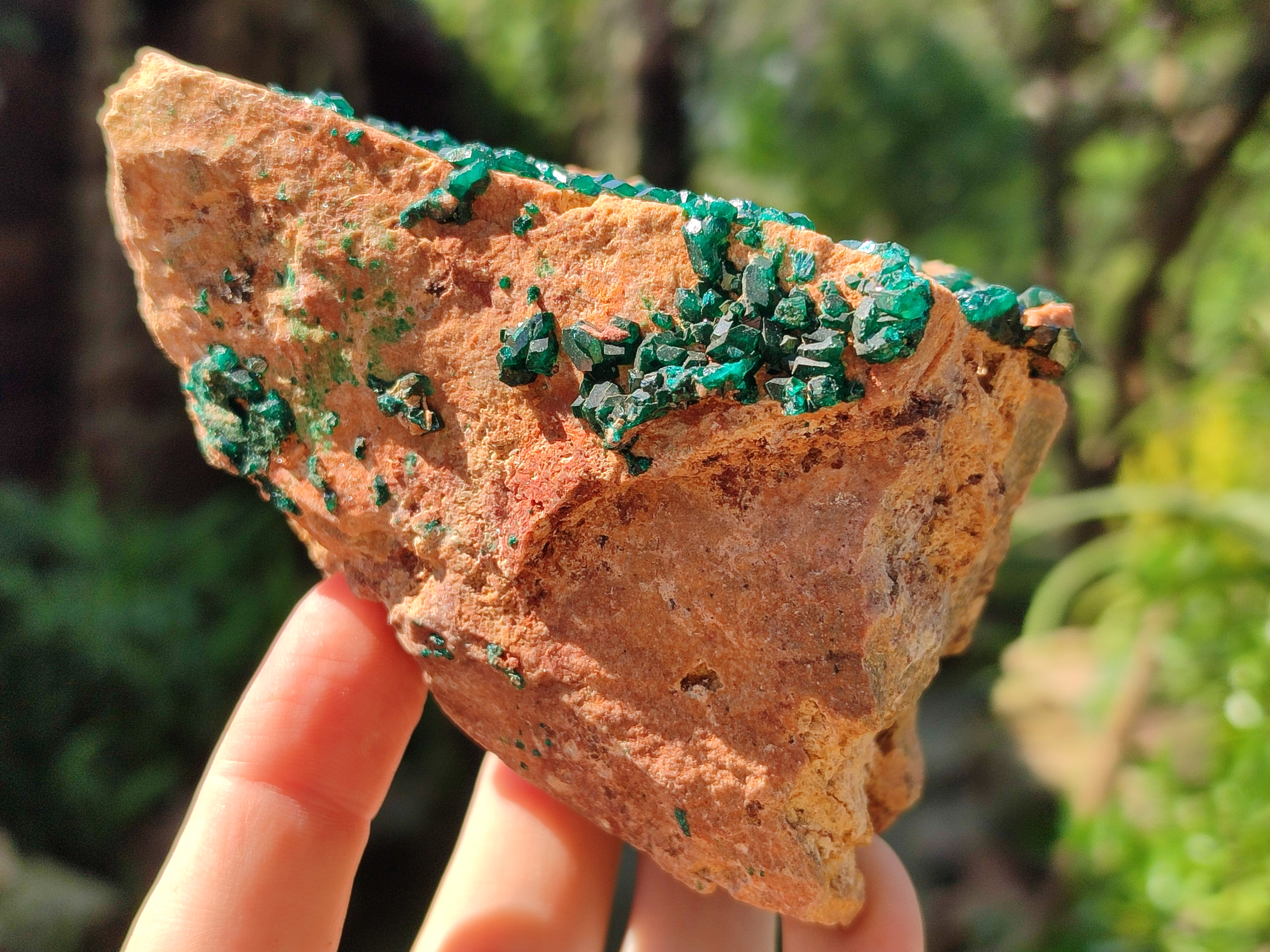 Natural Rare Dioptase Specimens x 2 From Likasi, Congo - Toprock Gemstones and Minerals 