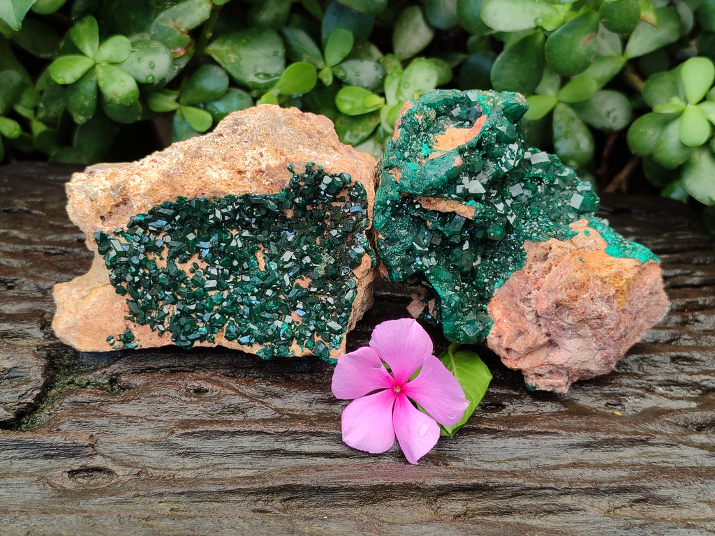 Natural Rare Dioptase Specimens x 2 From Likasi, Congo - Toprock Gemstones and Minerals 