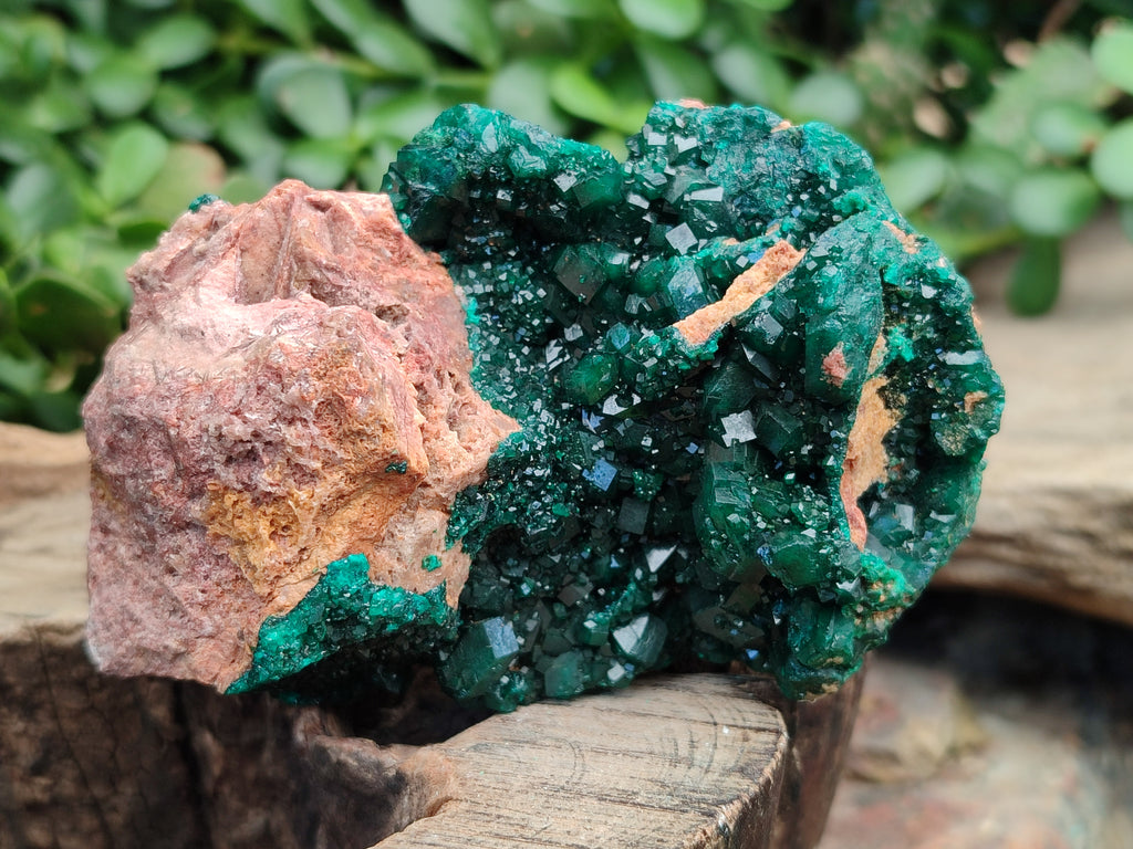 Natural Rare Dioptase Specimens x 2 From Likasi, Congo - Toprock Gemstones and Minerals 
