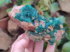 Natural Rare Dioptase Specimens x 2 From Likasi, Congo - Toprock Gemstones and Minerals 