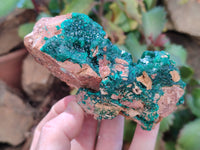Natural Rare Dioptase Specimens x 2 From Likasi, Congo