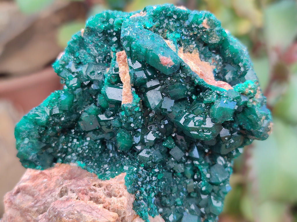 Natural Rare Dioptase Specimens x 2 From Likasi, Congo - Toprock Gemstones and Minerals 
