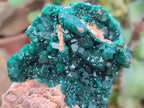 Natural Rare Dioptase Specimens x 2 From Likasi, Congo - Toprock Gemstones and Minerals 