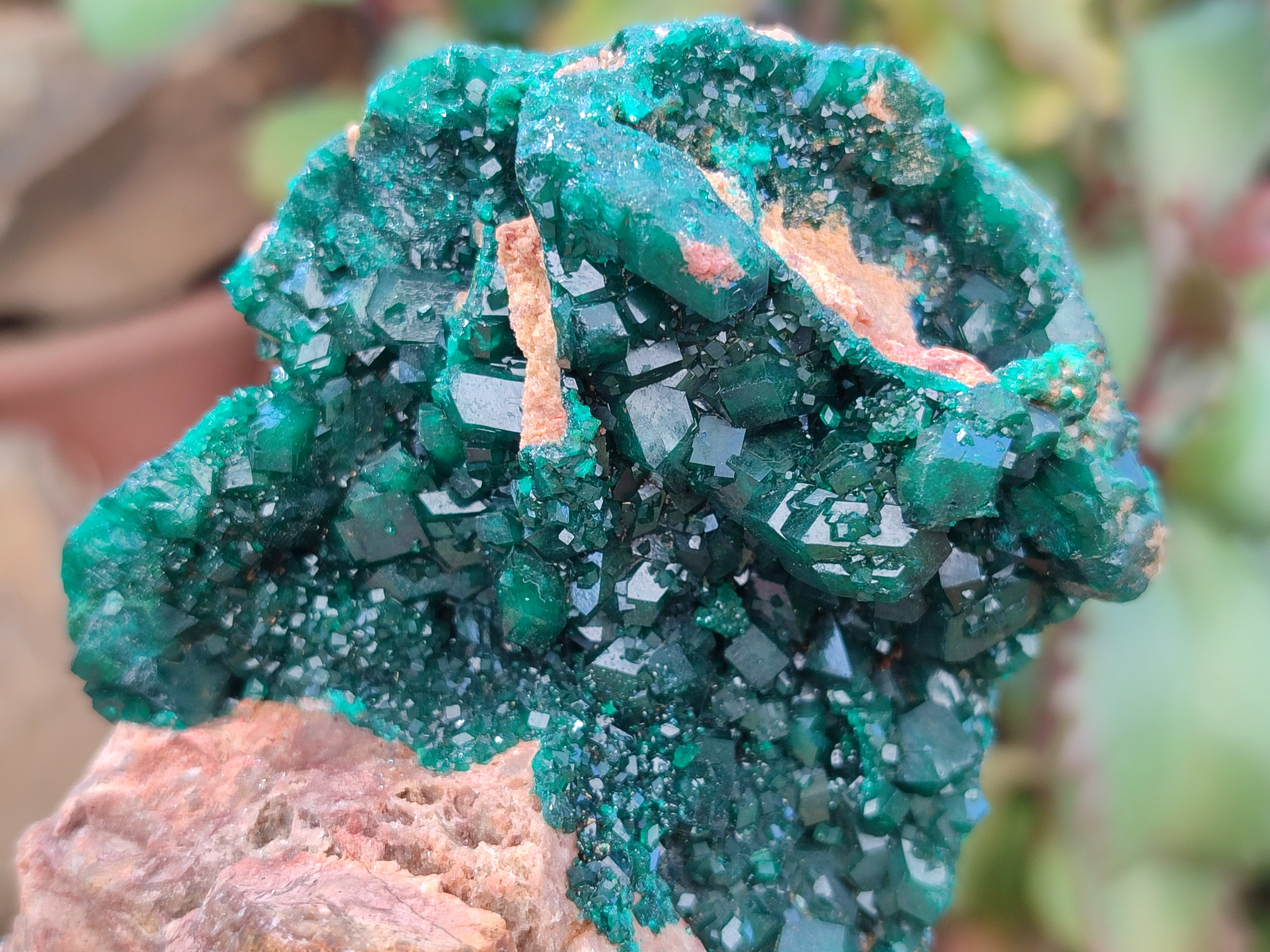 Natural Rare Dioptase Specimens x 2 From Likasi, Congo - Toprock Gemstones and Minerals 