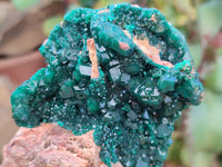 Natural Rare Dioptase Specimens x 2 From Likasi, Congo