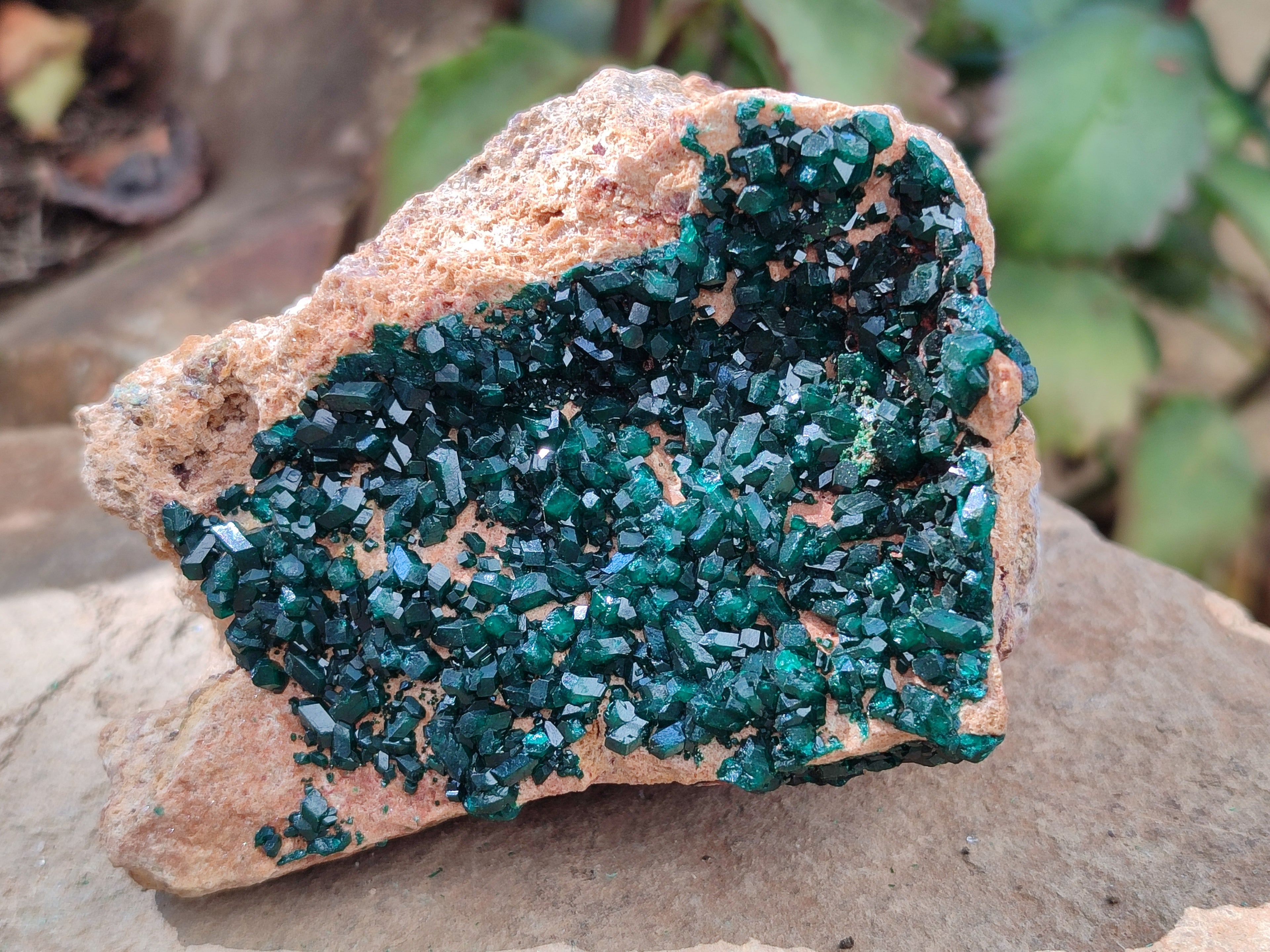 Natural Rare Dioptase Specimens x 2 From Likasi, Congo - Toprock Gemstones and Minerals 