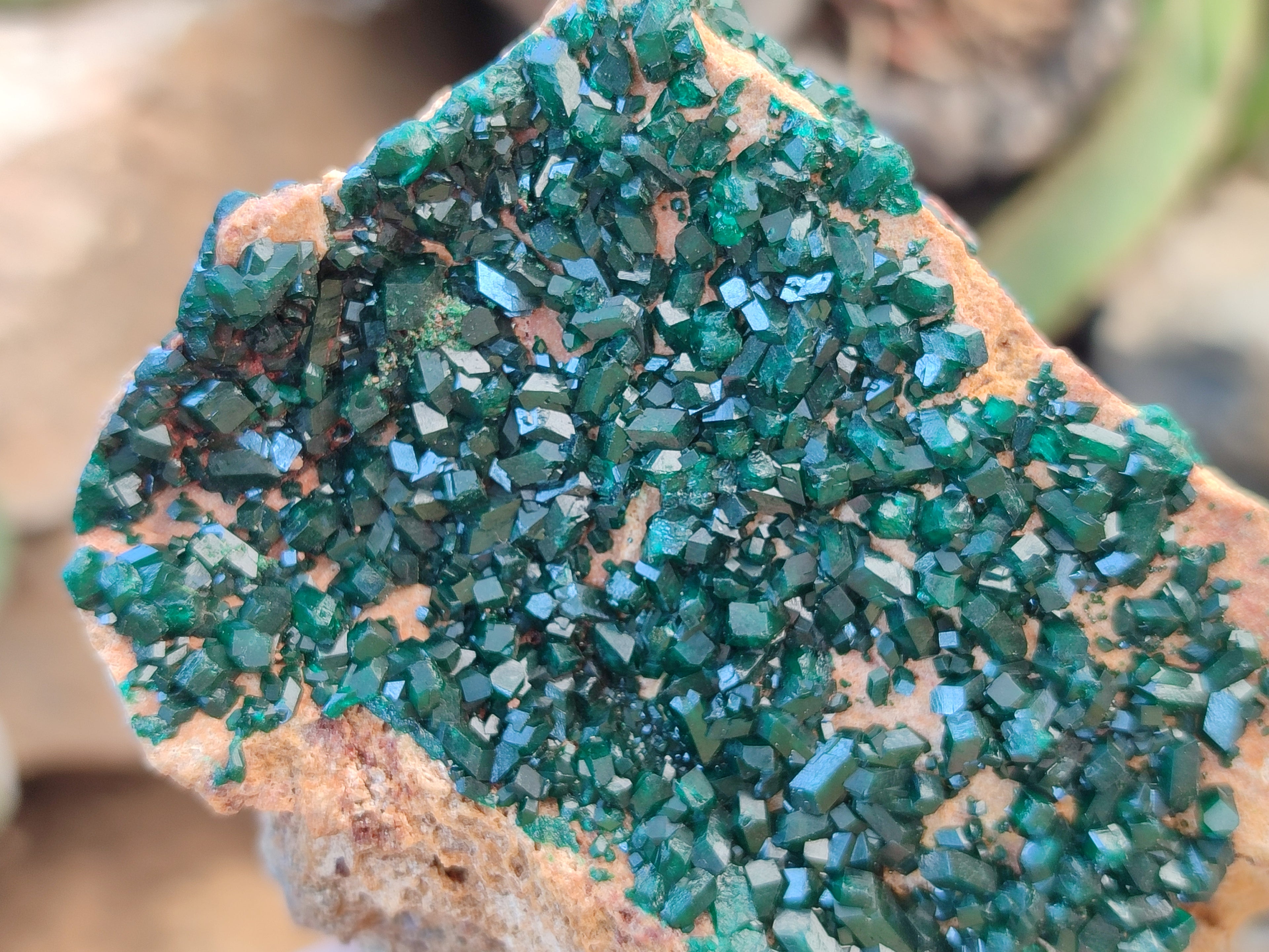 Natural Rare Dioptase Specimens x 2 From Likasi, Congo - Toprock Gemstones and Minerals 