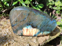 Polished Labradorite Standing Free Form x 2 From Tulear, Madagascar