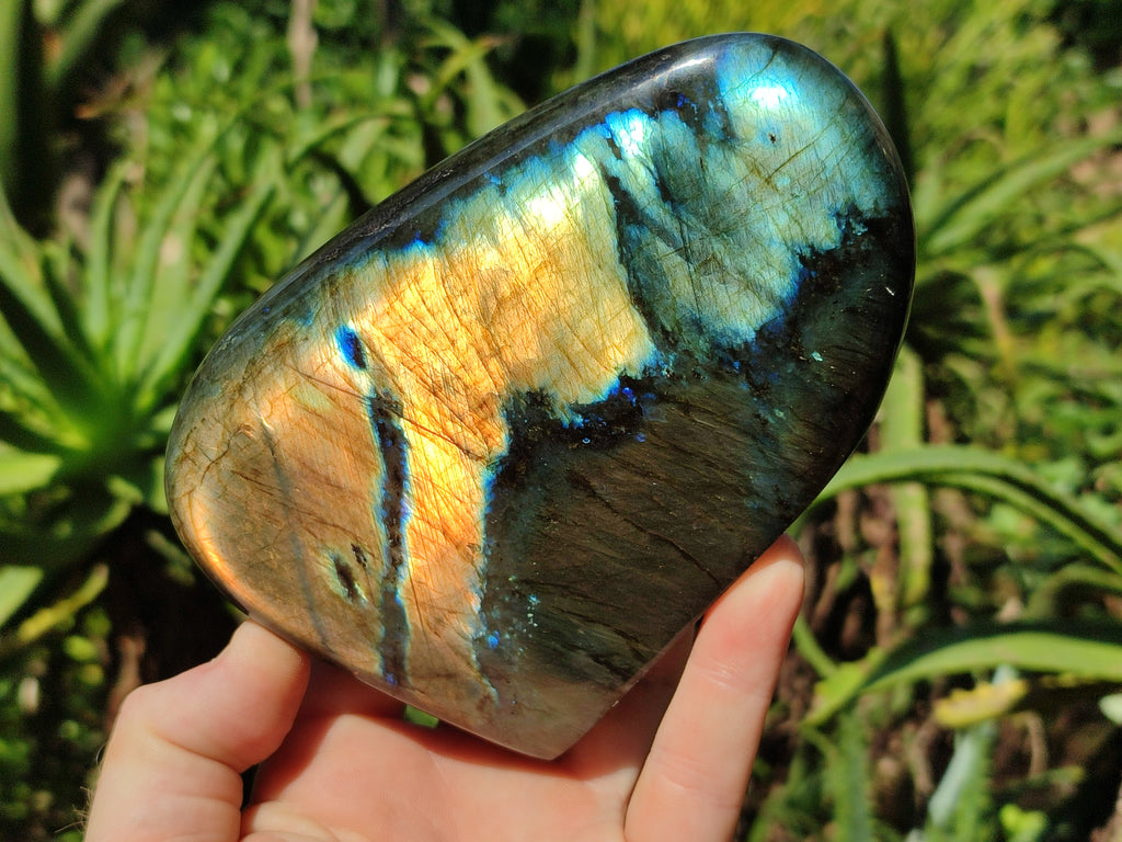 Polished Labradorite Standing Free Form x 2 From Tulear, Madagascar - Toprock Gemstones and Minerals 