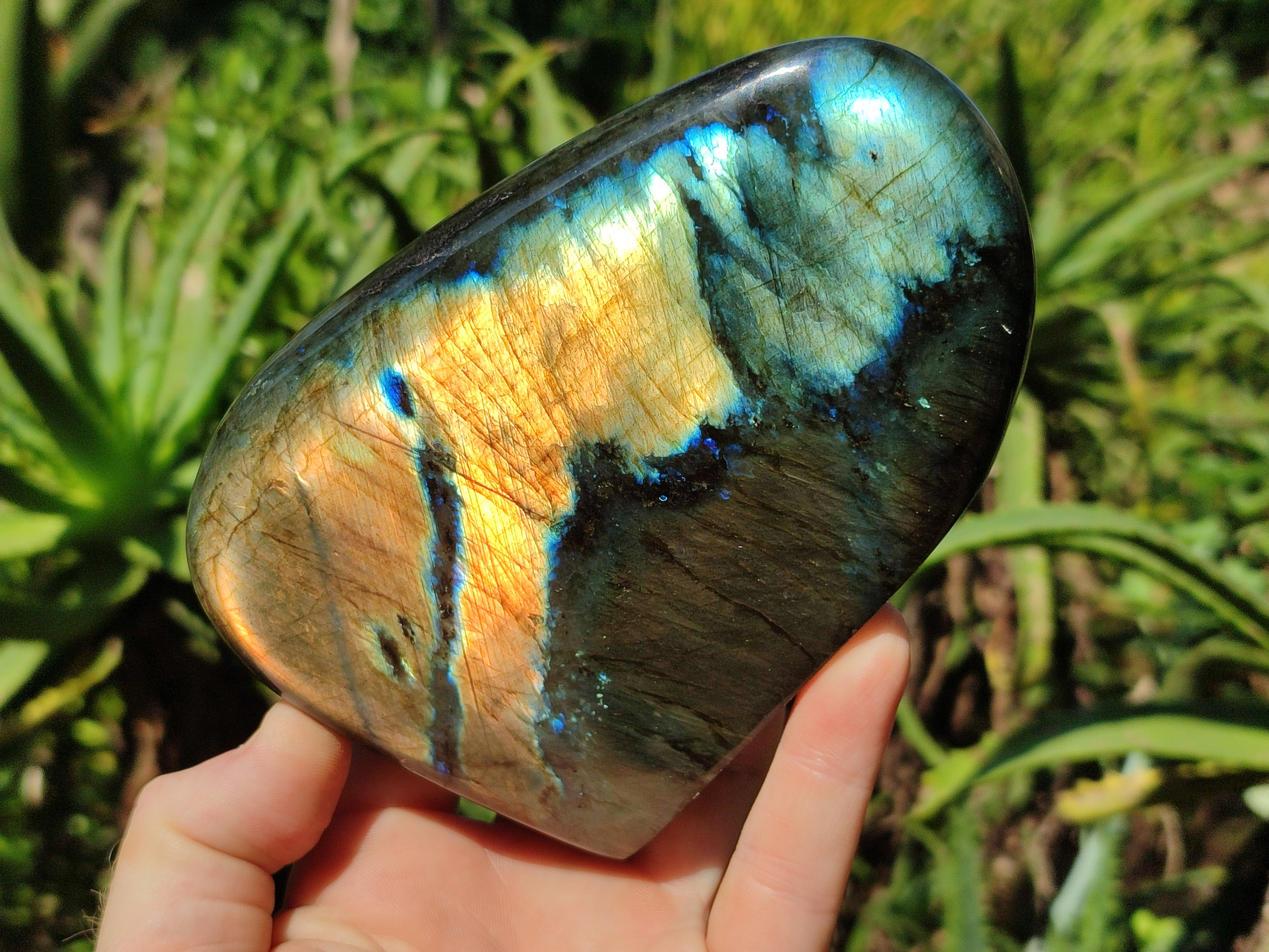 Polished Labradorite Standing Free Form x 2 From Tulear, Madagascar - Toprock Gemstones and Minerals 