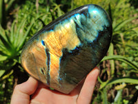 Polished Labradorite Standing Free Form x 2 From Tulear, Madagascar