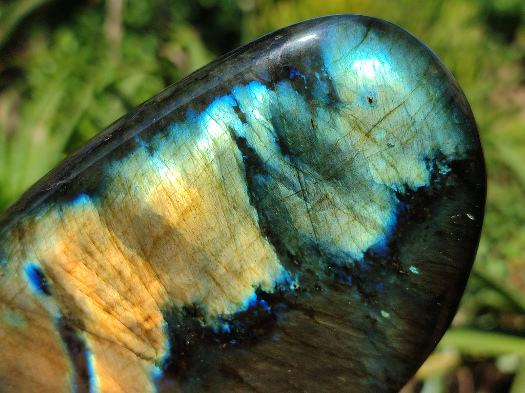 Polished Labradorite Standing Free Form x 2 From Tulear, Madagascar - Toprock Gemstones and Minerals 