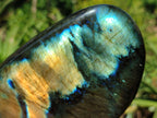 Polished Labradorite Standing Free Form x 2 From Tulear, Madagascar - Toprock Gemstones and Minerals 