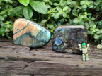 Polished Labradorite Standing Free Form x 2 From Tulear, Madagascar - Toprock Gemstones and Minerals 