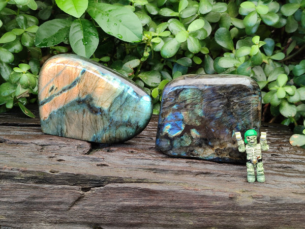 Polished Labradorite Standing Free Form x 2 From Tulear, Madagascar
