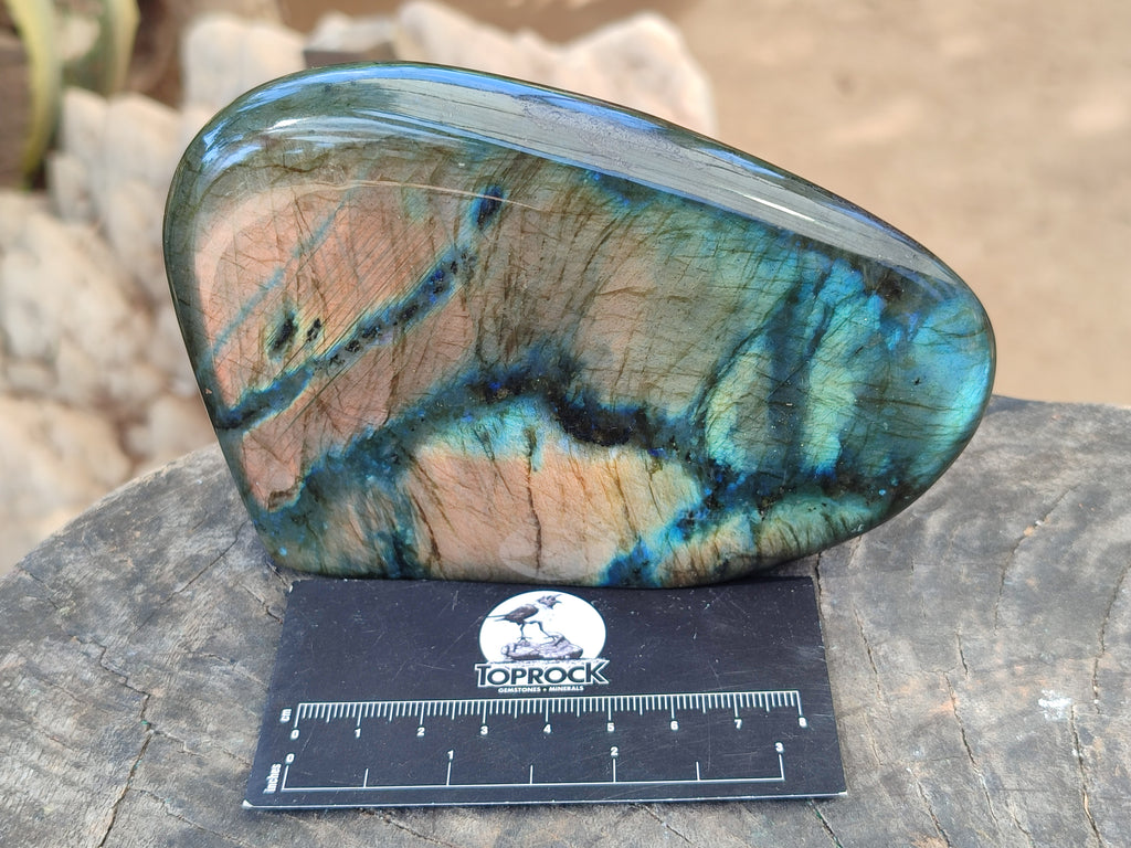Polished Labradorite Standing Free Form x 2 From Tulear, Madagascar - Toprock Gemstones and Minerals 