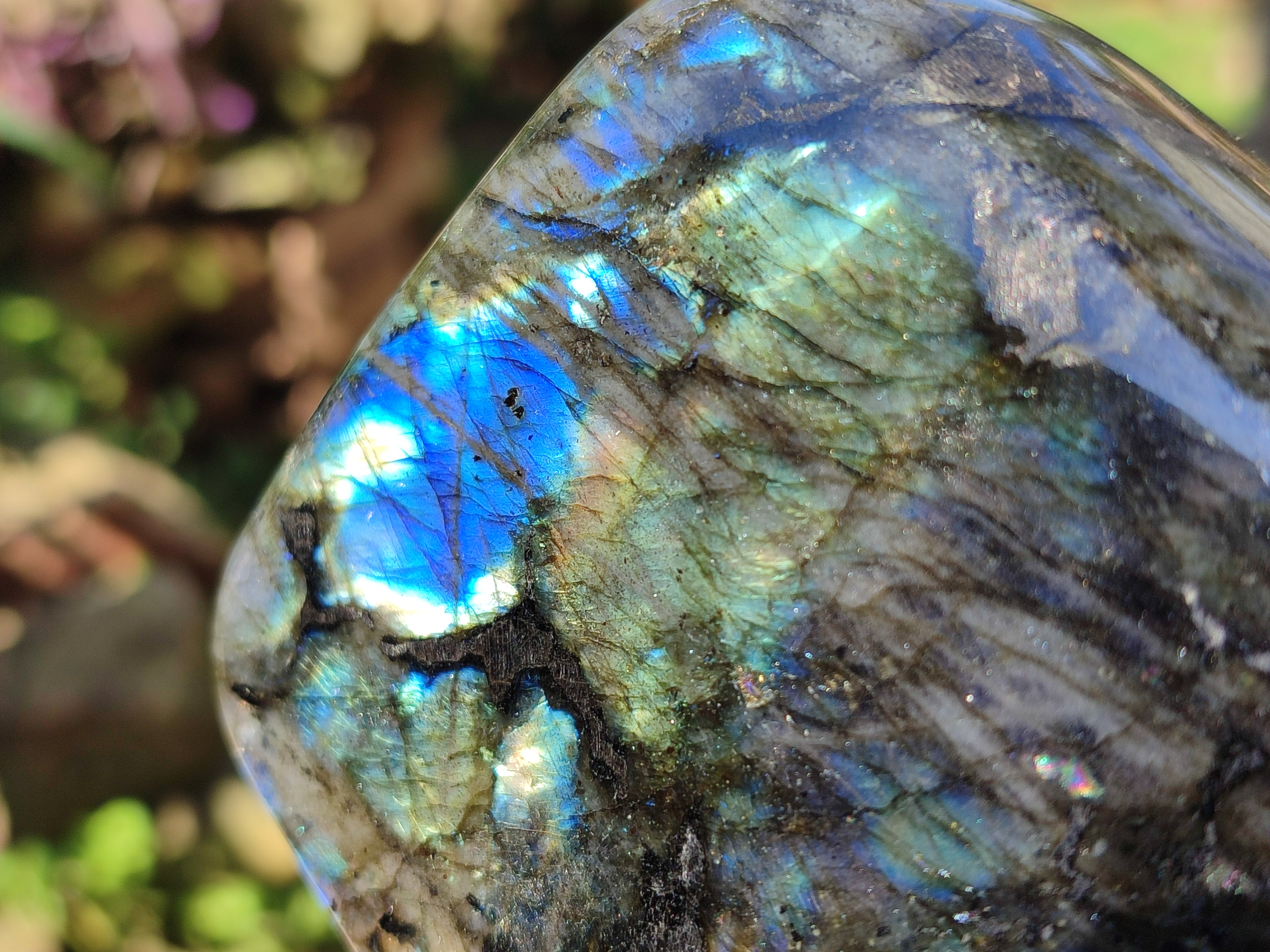 Polished Labradorite Standing Free Form x 2 From Tulear, Madagascar - Toprock Gemstones and Minerals 