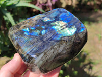 Polished Labradorite Standing Free Form x 2 From Tulear, Madagascar