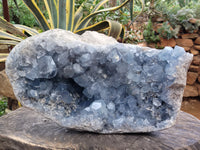Natural Extra Large Celestite Geode Specimen x 1 From Sakoany, Madagascar