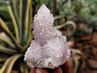 Natural Amethyst Spirit Quartz Clusters x 12 From Boekenhouthoek, South Africa - Toprock Gemstones and Minerals 