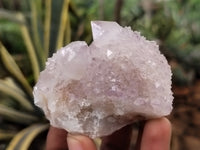 Natural Amethyst Spirit Quartz Clusters x 12 From Boekenhouthoek, South Africa - Toprock Gemstones and Minerals 