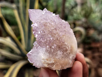 Natural Amethyst Spirit Quartz Clusters x 12 From Boekenhouthoek, South Africa - Toprock Gemstones and Minerals 