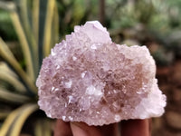 Natural Amethyst Spirit Quartz Clusters x 12 From Boekenhouthoek, South Africa - Toprock Gemstones and Minerals 